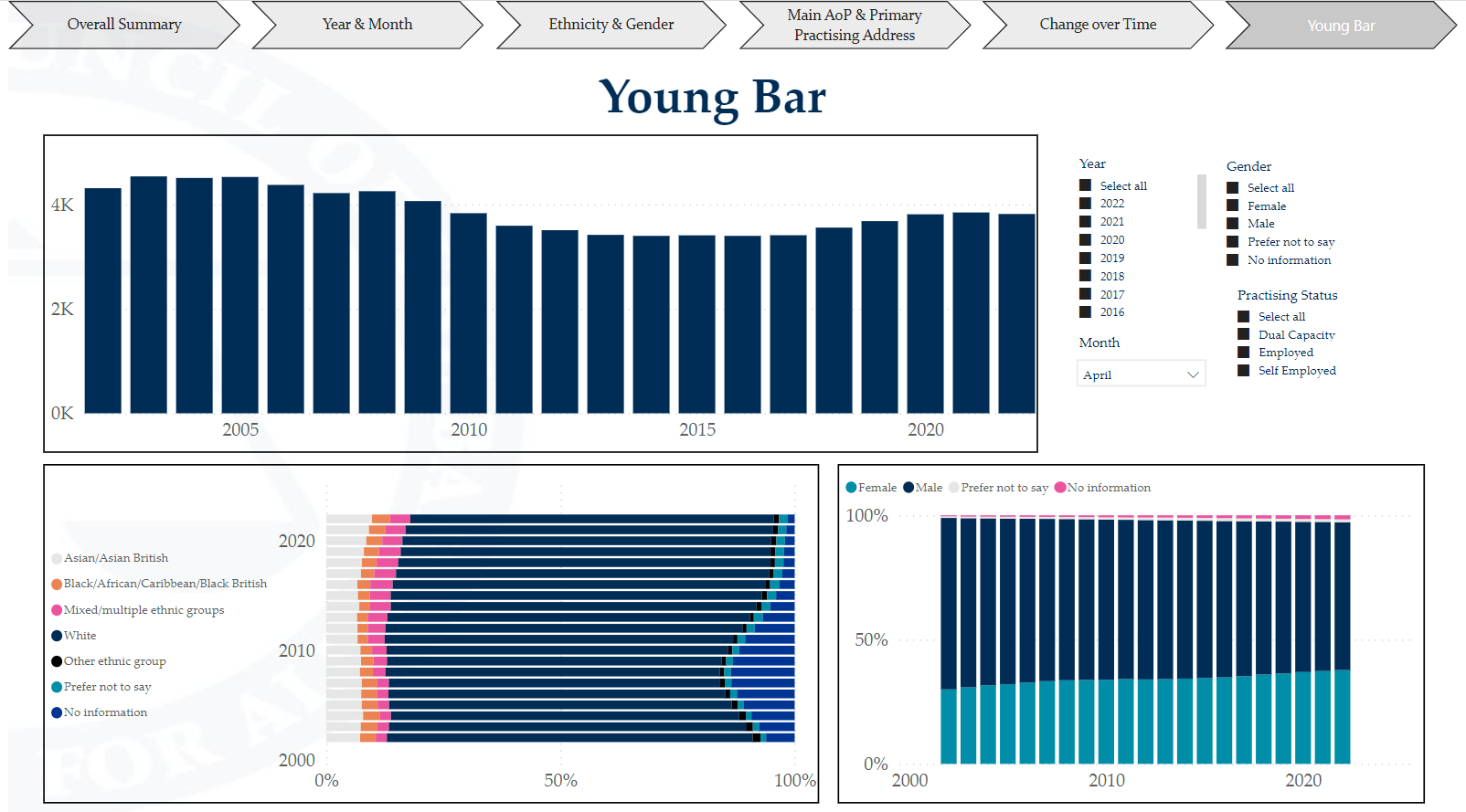 screenshot of the Young Bar tab from the Demographics dashboard
