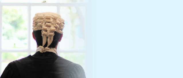 a photo of a person wearing court dress looking out a window