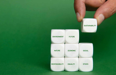 sustainability-white-dice-green.jpg