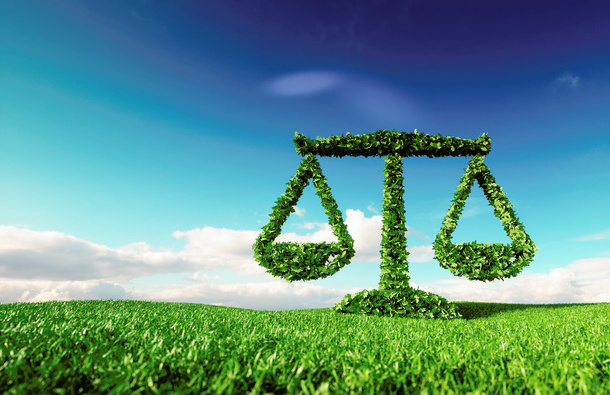 Justice scales in green grass - smaller for web.jpg
