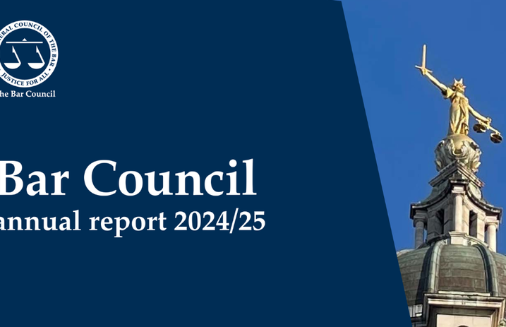 BC annual report 2024-25.png