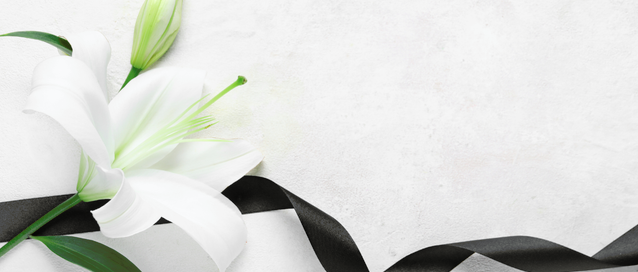 A photo of a white lily and a black ribbon